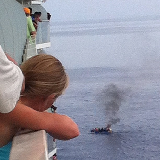Oasis of the Seas - Bastable - Cuban Refugees